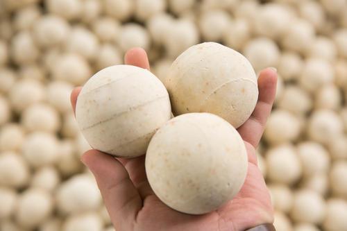 <a href='http://www.zzywzg.cn/ml/71.html' target='_blank'><u>高鋁蓄熱球生產(chǎn)廠家</u></a>