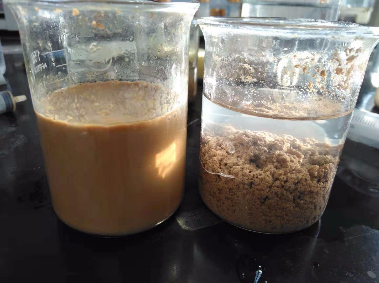 <a href='http://www.zzywzg.cn/jsyj/992.html' target='_blank'><u>非離子聚丙烯酰胺生產(chǎn)廠家</u></a>