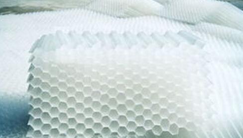 江蘇蜂窩<a href='http://www.zzywzg.cn/jstl/60.html' target='_blank'><u>斜管填料生產(chǎn)廠家</u></a>